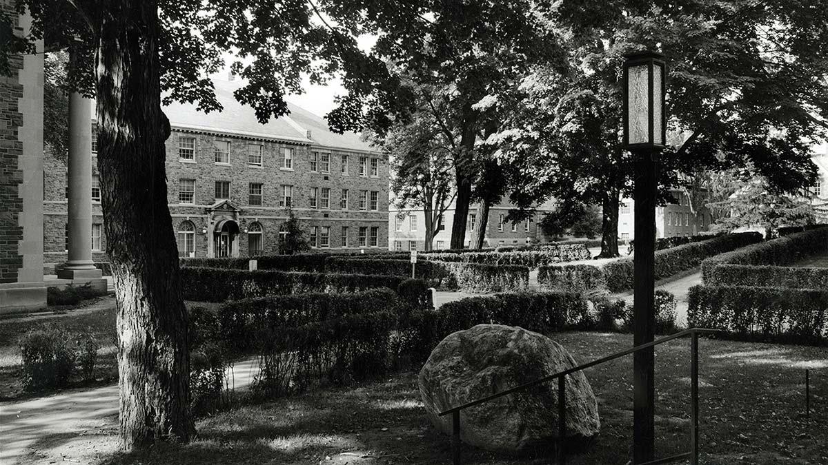 An archival photo of the Academic Quad showing fairly extensive tree cover