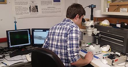 Robert Sasse ’19 looking through a microscope