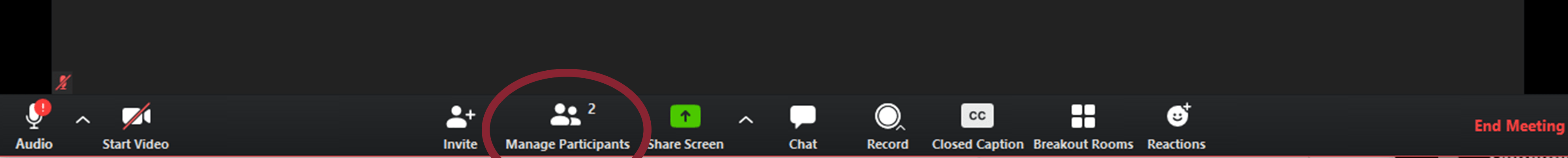 Screenshot Showing where to manage participants in a Zoom meeting