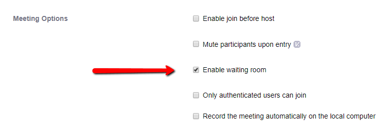 Screenshot showing the meeting options with Enable Waiting Room selected