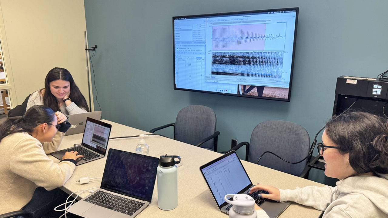 Eli Valazquez ’24, Paige Avilla ’24, and Bailey Cooper ’26 analyze spectrogram data of Mandarin tones.