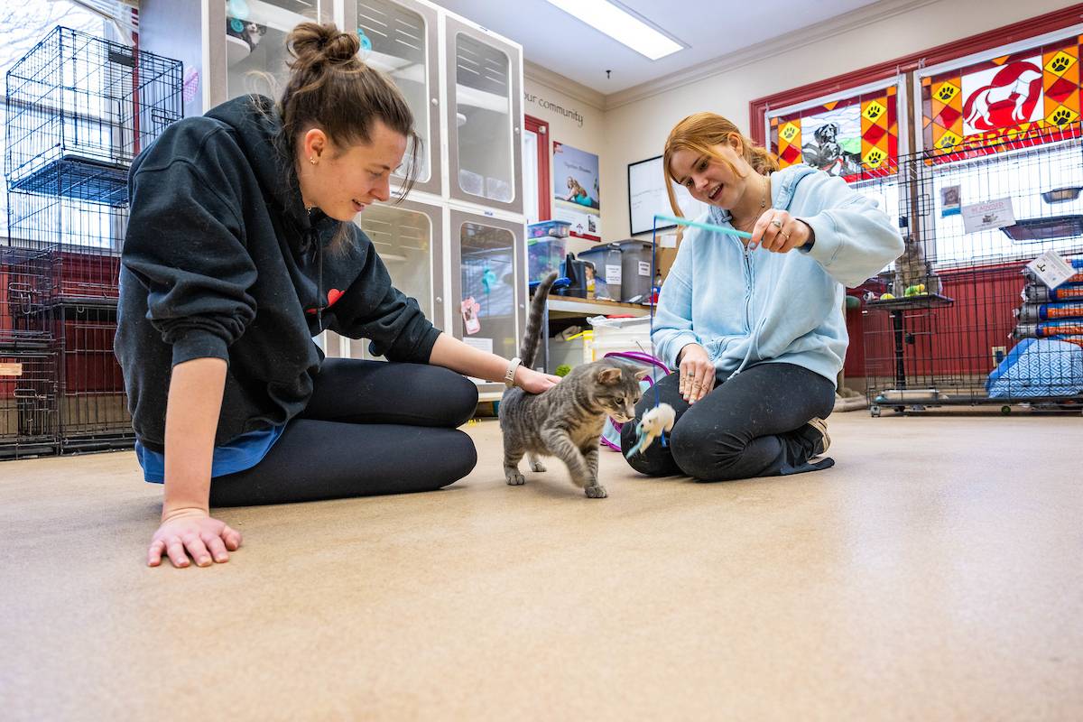 Two students volunteer at animal shelter