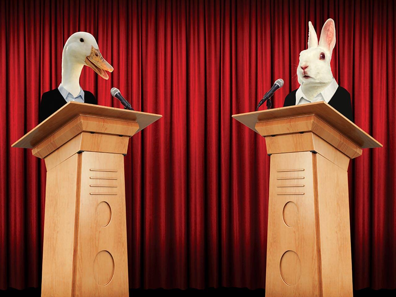 Graphic of rabbit and duck debating.