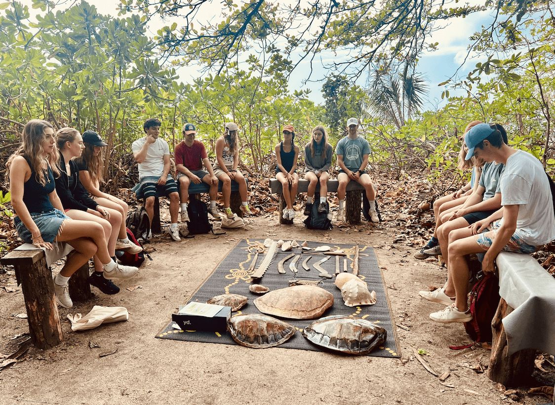 Photo of students sitting on benches circling sea turtle shells and other items displayed on a tarp.