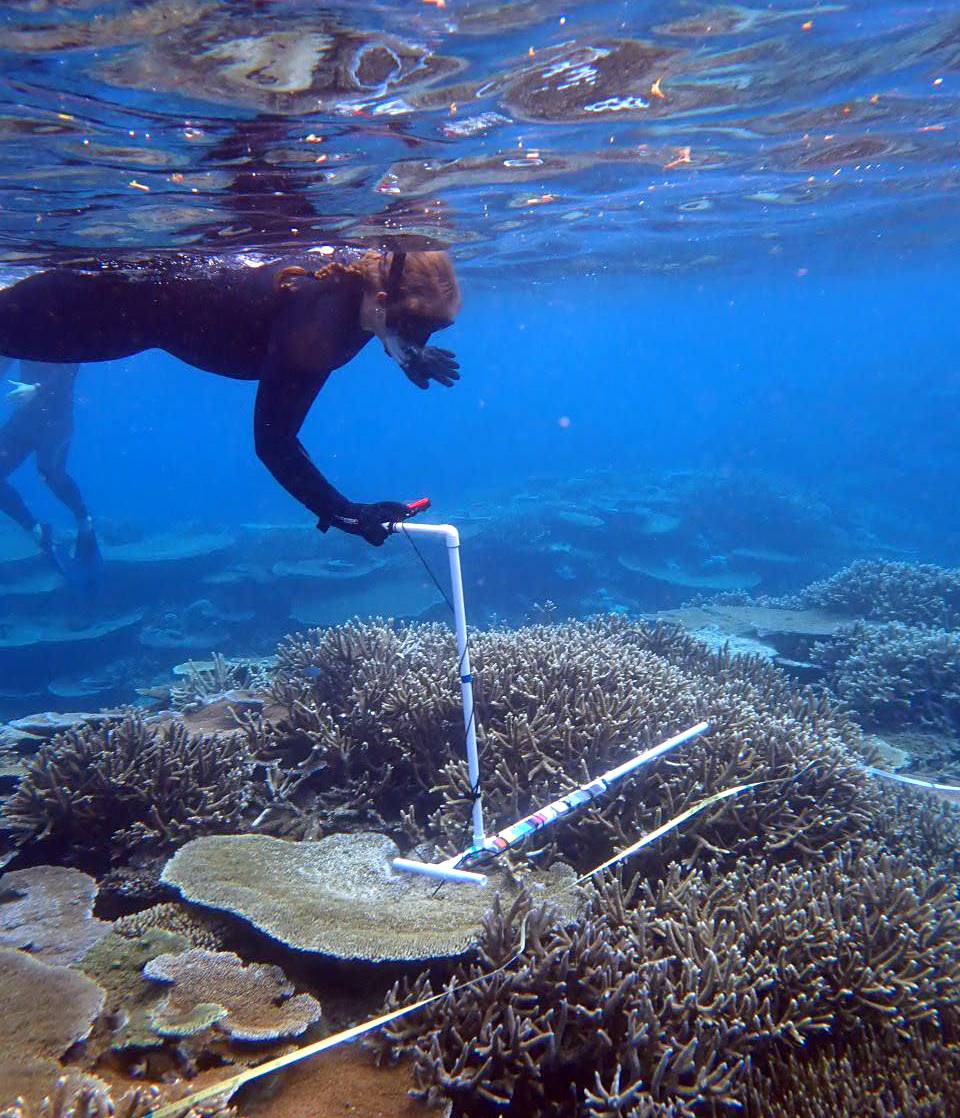 Amelia Rastley ’25 collecting reef data