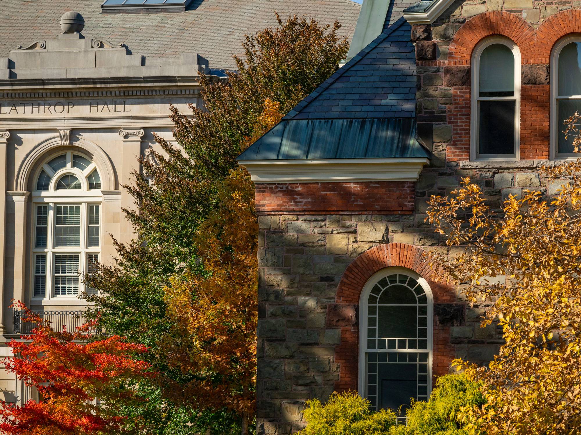 Autumn leaves on the quad