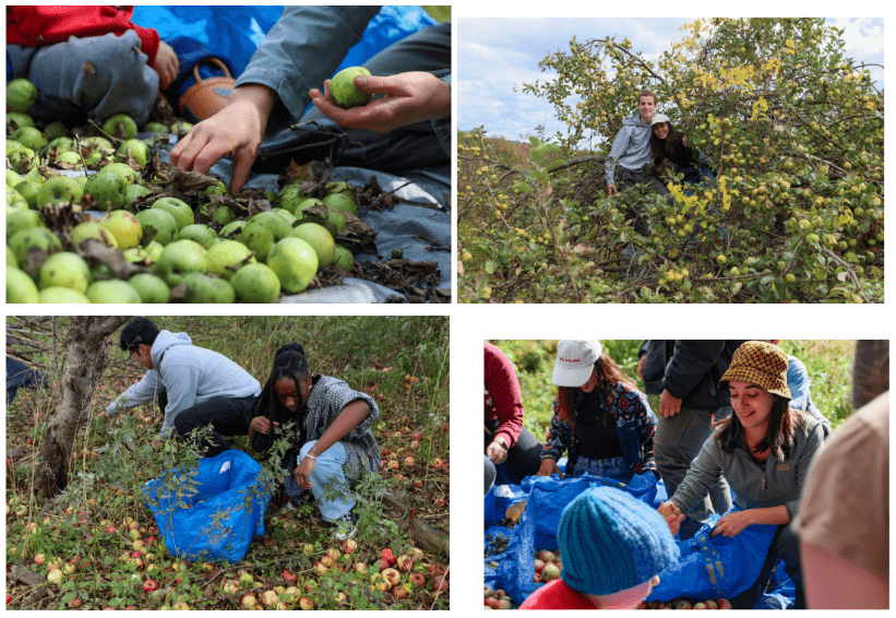 students in Mark Stern's service learning class