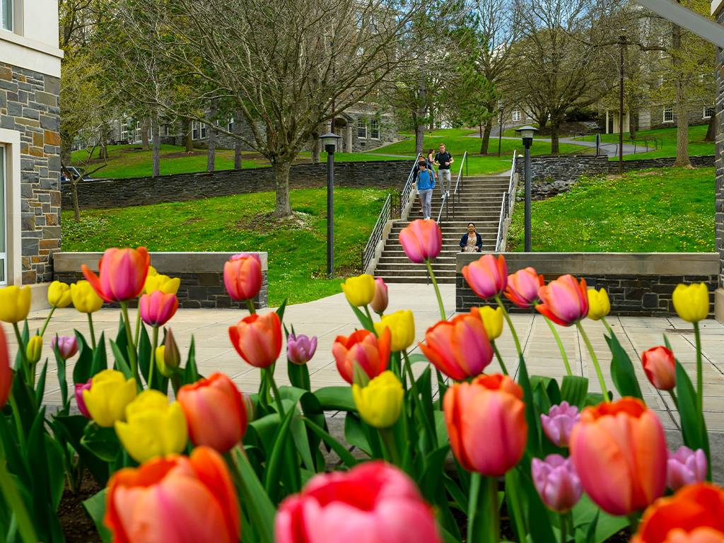 Thanks in part to the immaculately kept grounds, Colgate is often named one of the most beautiful campuses in the United States.