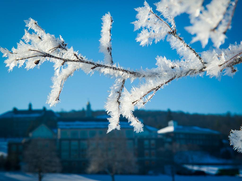 The coldest temperature ever recorded in Hamilton, N.Y., was -22°F in 2004.