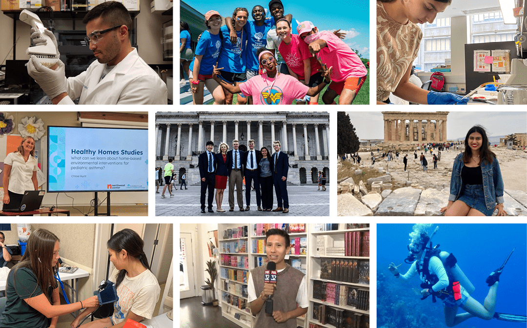 Summer funding internships photo grid