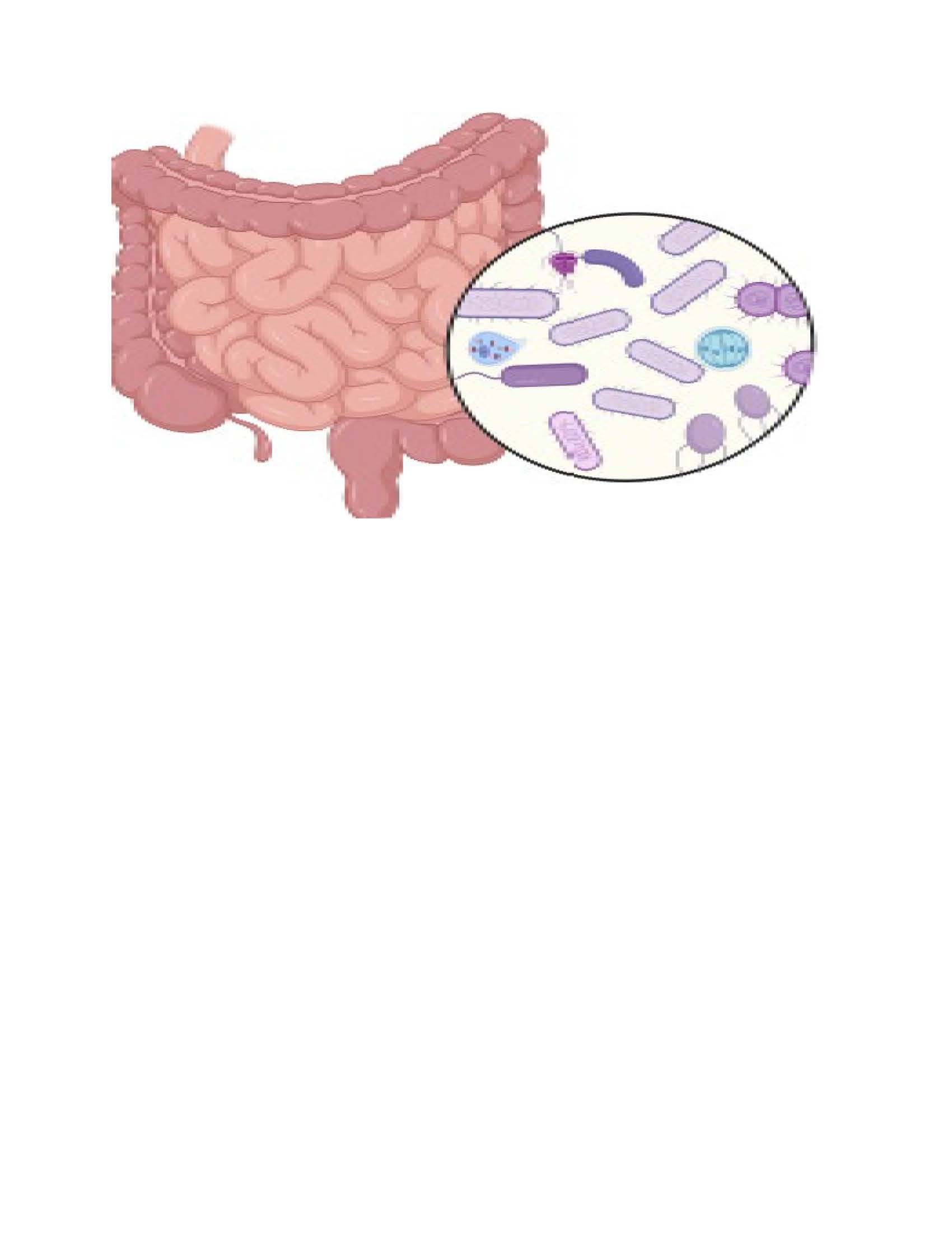 gut microbiota composition