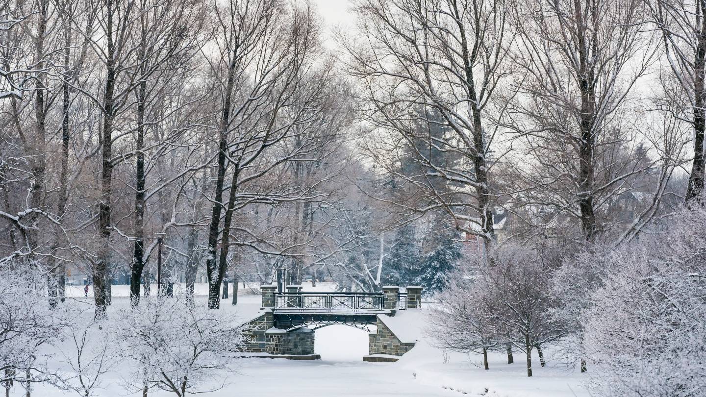 Campus covered in snow