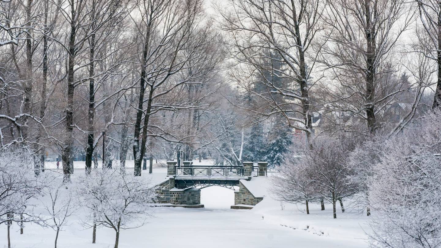 Photo of Colgate bridge in the winter snow.