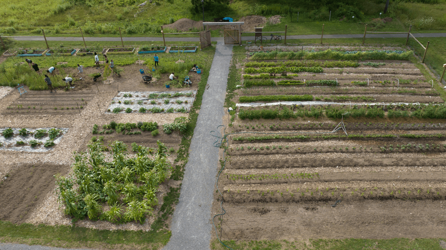 Colgate Community Garden aerial view