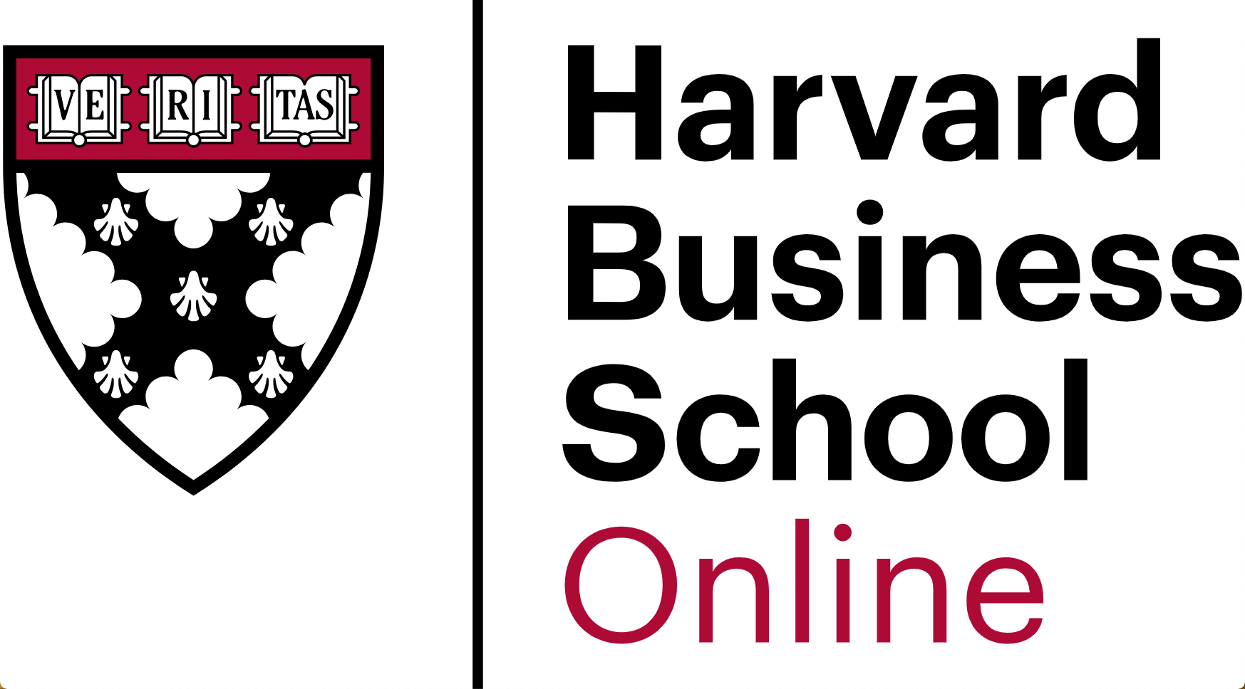 HBS online