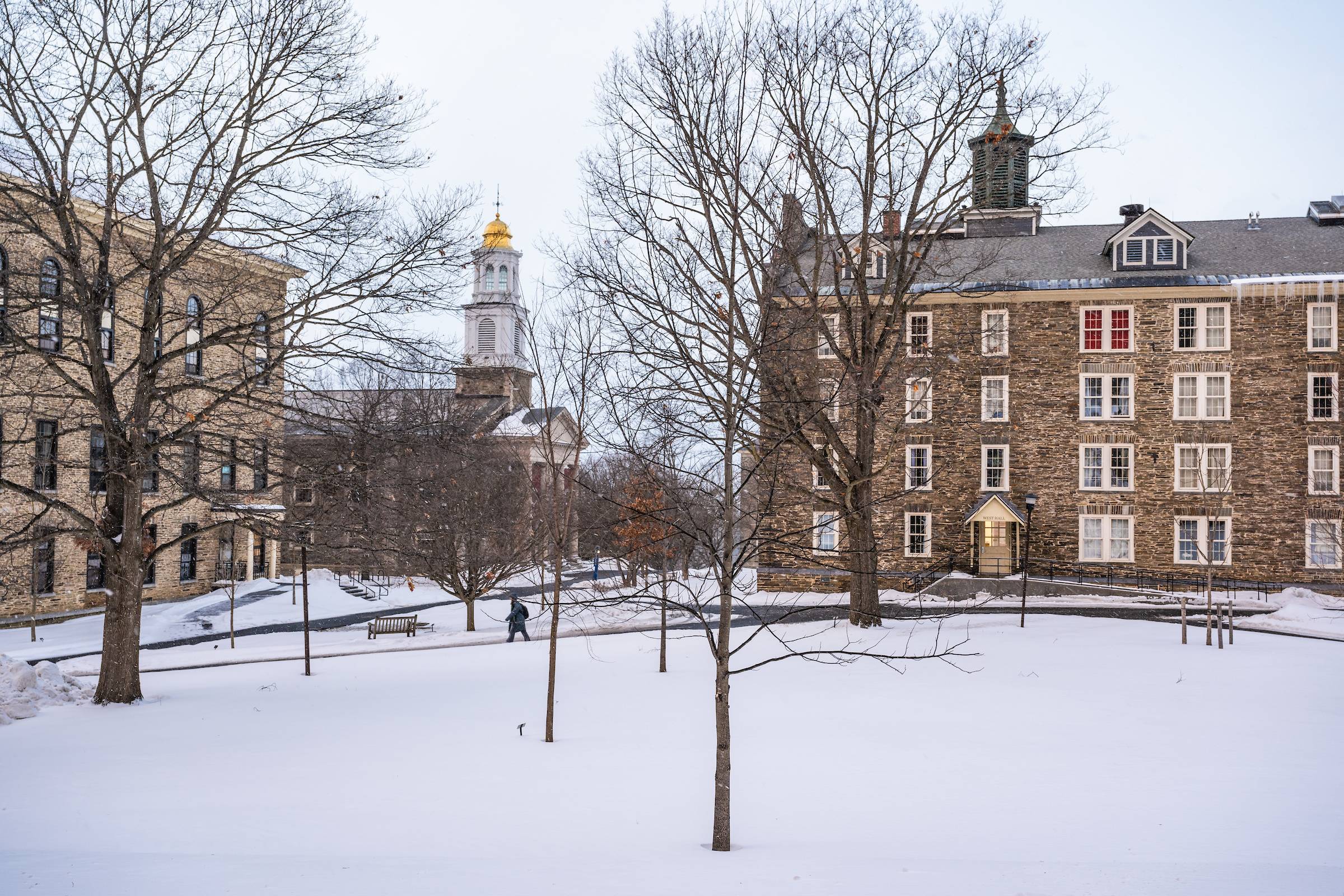 Winter scene at Colgate University, featuring snow-covered grounds with leafless trees and historical buildings, including Colgate Memorial Chapel.