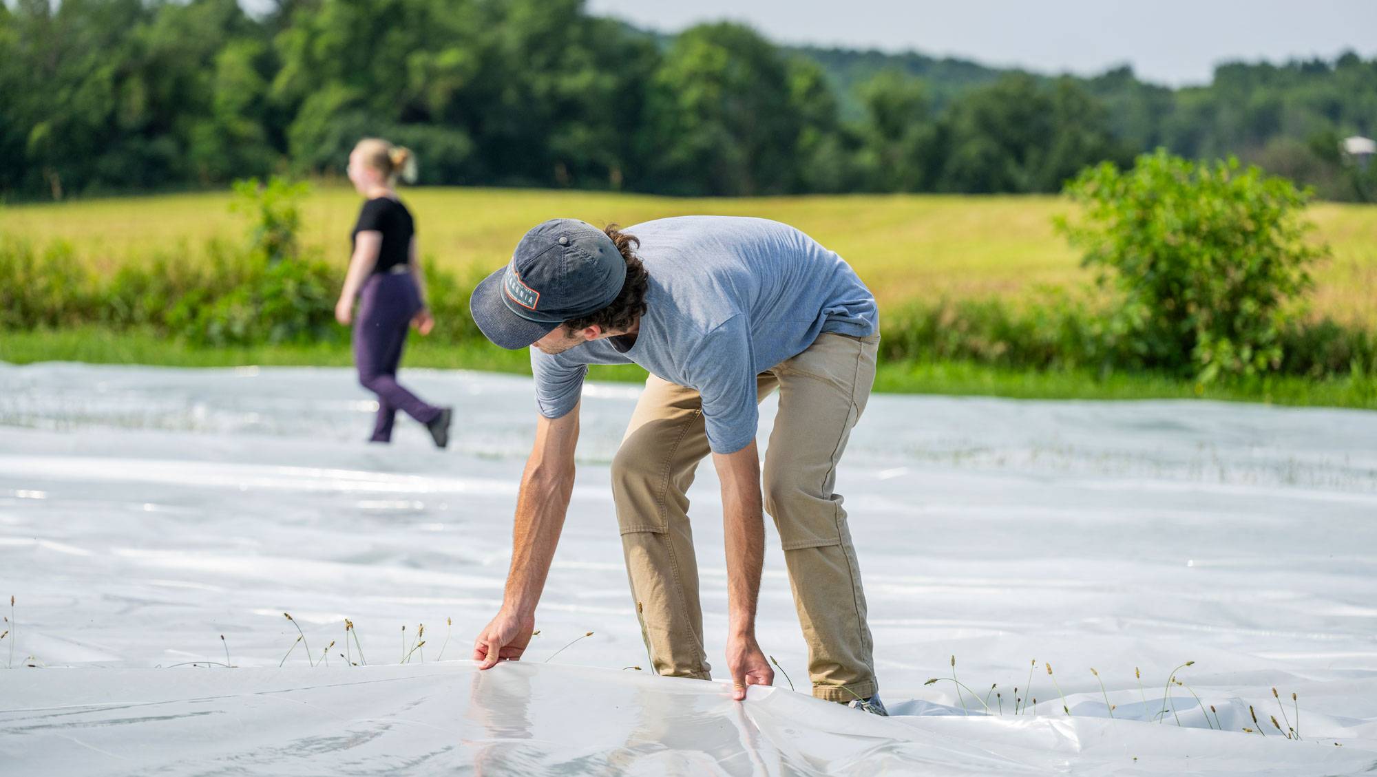 Charlie Tourbaf '25 stretching plastic over invasive plants