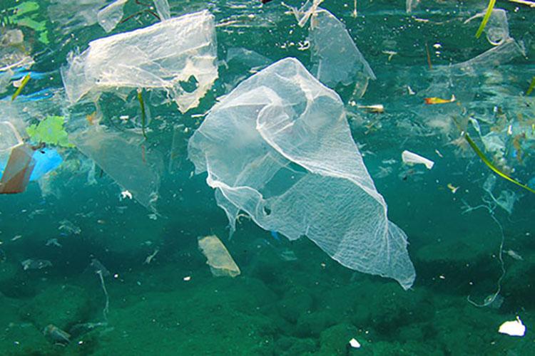 Plastic bag floating in the ocean.