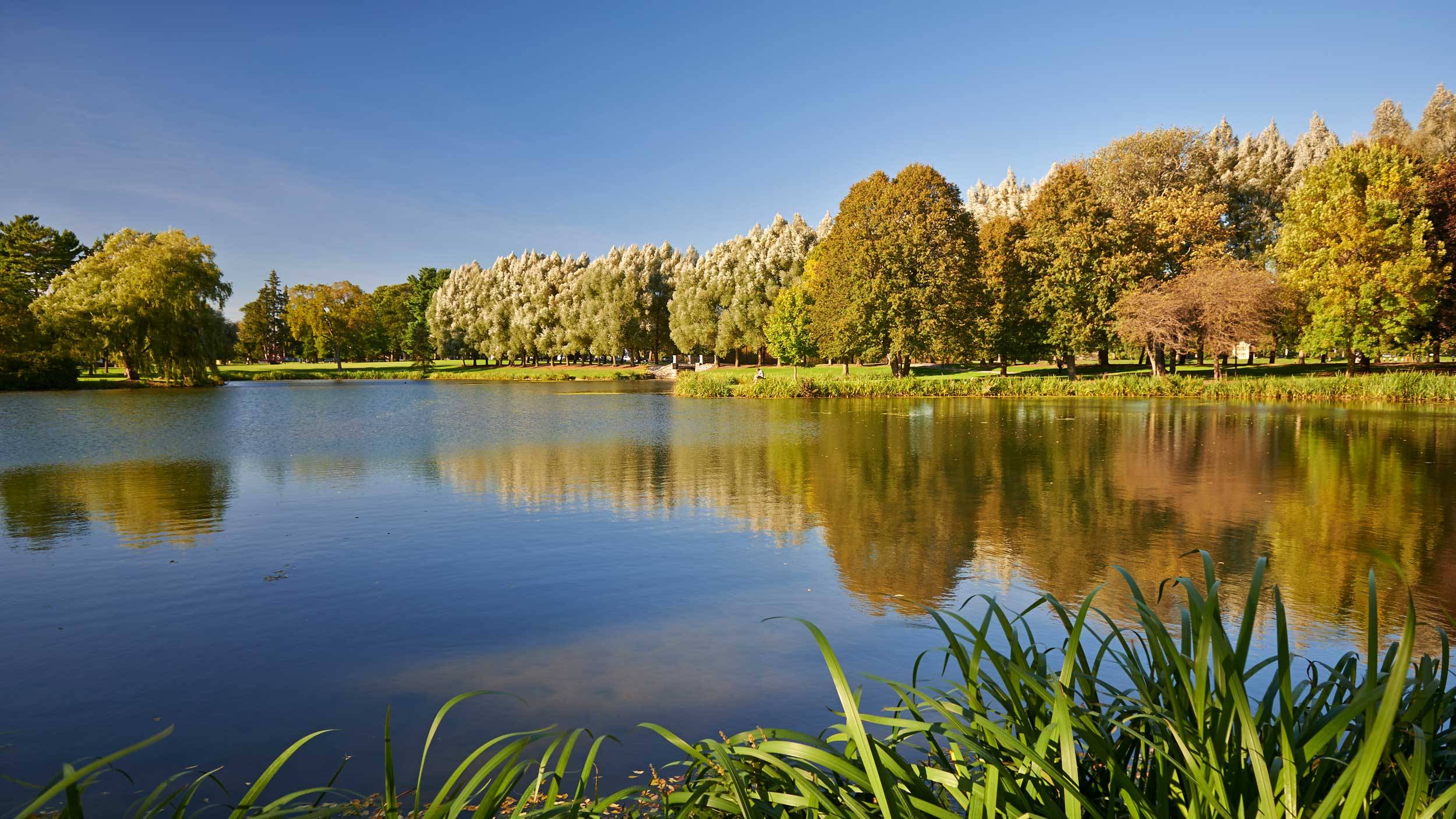 Scenic image of Taylor Lake